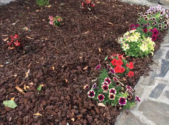 شقة Casa Do Tuga براغانسا